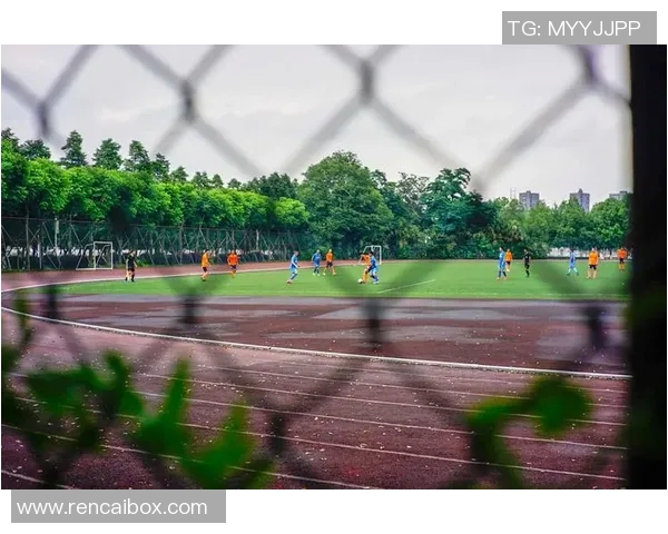 fy比赛中精彩-赛场风华，精彩纷呈—FY比赛中的辉煌瞬间-fy比赛中精彩